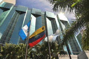 Consulado Venezolano WEB