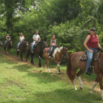 Guided horse rides - Tradewinds Park interior